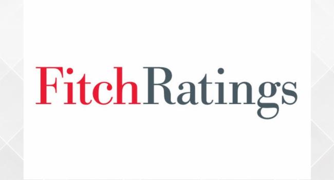 Rated corporates will be most affected - Fitch